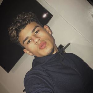 Meet your Posher, Teddy